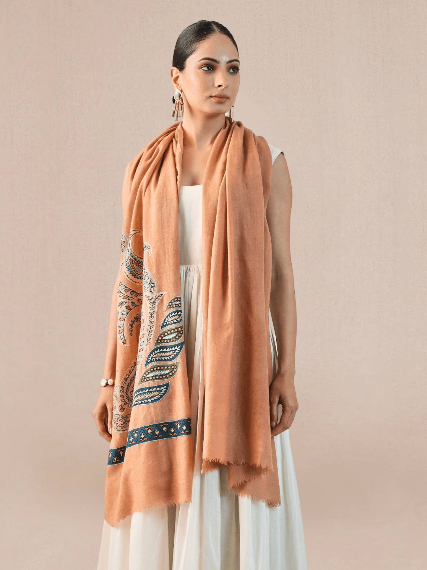 Pashmina Kalamkari Border Stole