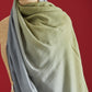 Aleen Ombre Pashmina Shawl