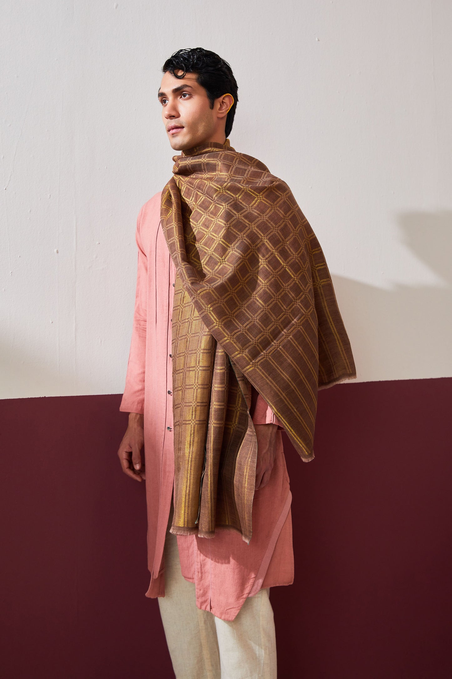 Zari Check Reversible Pashmina Stole