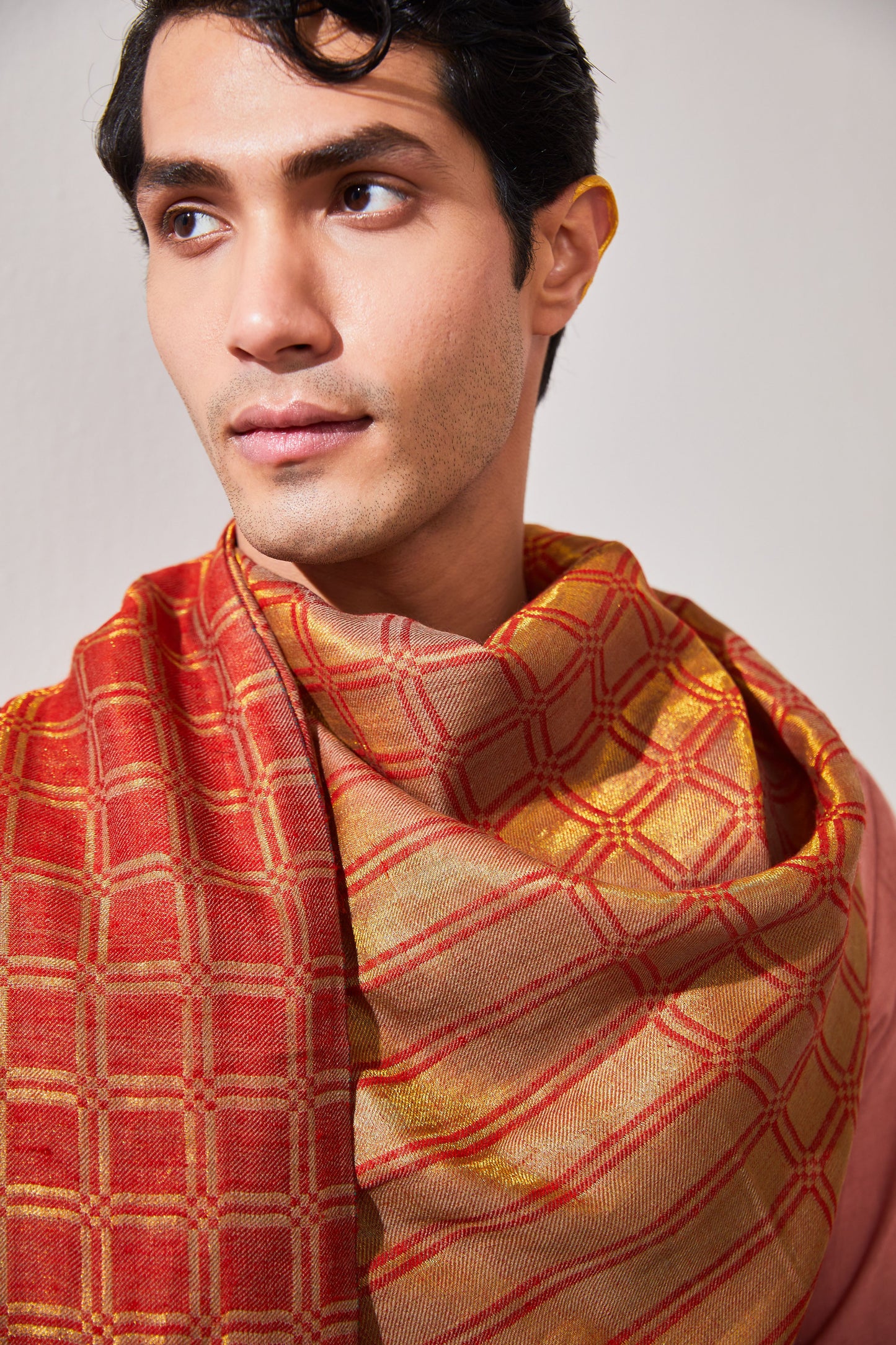 Zari Check Reversible Pashmina Stole