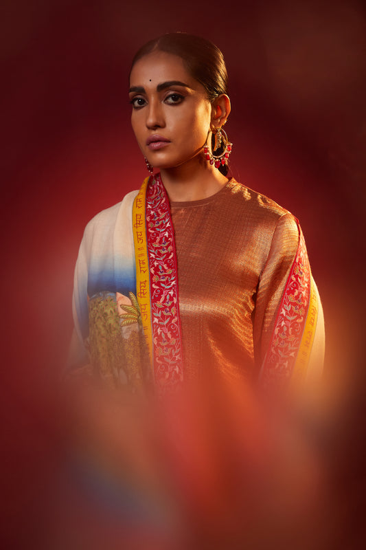 Model is wearing the Ayodhya tales pashmina shawl by Shaza.
