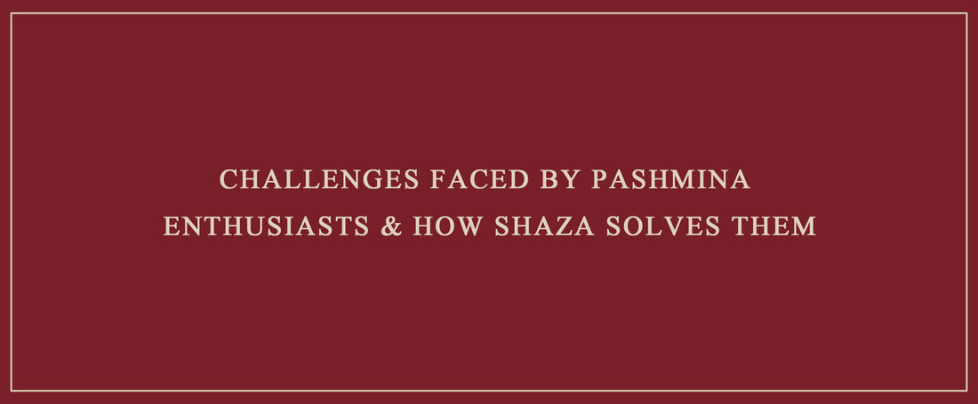Challenges Faced by Pashmina Enthusiasts & How Shaza Solves Them