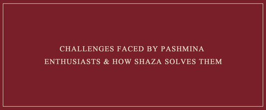Challenges Faced by Pashmina Enthusiasts & How Shaza Solves Them