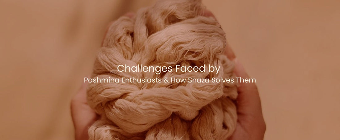 Challenges Faced by Pashmina Enthusiasts & How Shaza Solves Them