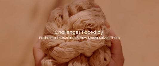 Challenges Faced by Pashmina Enthusiasts & How Shaza Solves Them