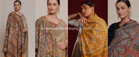 Is Pashmina Worth Buying in 2026?
