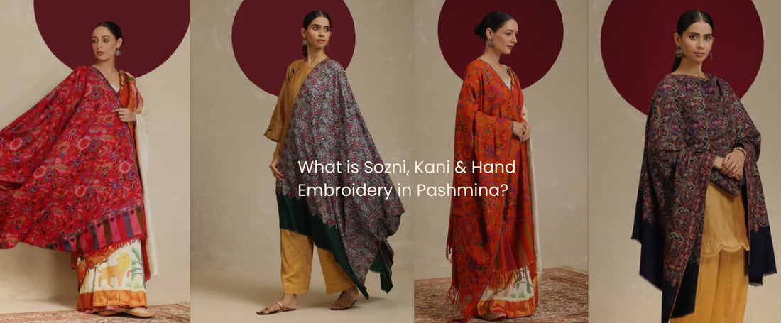 What is Sozni, Kani & Hand Embroidery in Pashmina?
