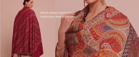 What Makes Kashmiri Pashmina World Famous?