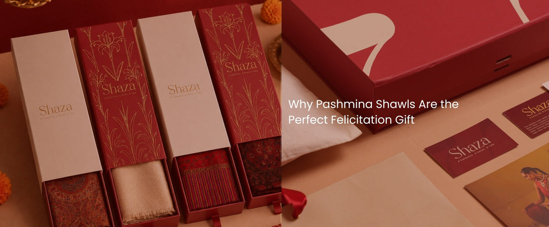 Why Pashmina Shawls Are the Perfect Felicitation Gift | Shaza Life