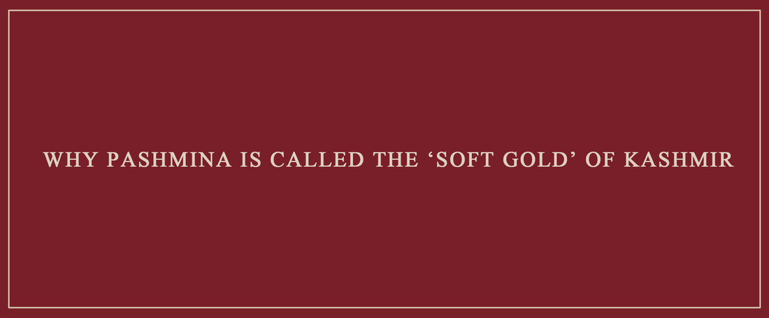 Why Pashmina is Called the ‘Soft Gold’ of Kashmir