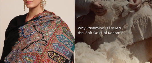 Why Pashmina is Called the ‘Soft Gold’ of Kashmir