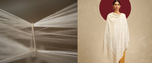 Handloom Pashmina