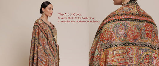 The Art of Color: Shaza’s Multi-Color Pashmina Shawls for the Modern Connoisseur
