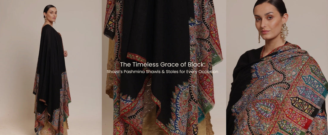 The Timeless Grace of Black: Shaza’s Pashmina Shawls & Stoles for Every Occasion