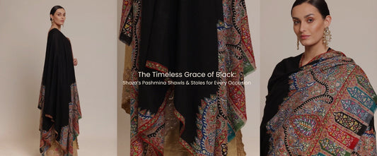 The Timeless Grace of Black: Shaza’s Pashmina Shawls & Stoles for Every Occasion