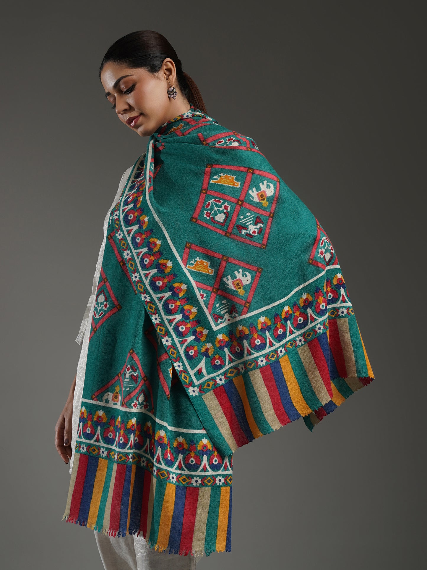 Rangbaahar Patola pashmina Stole