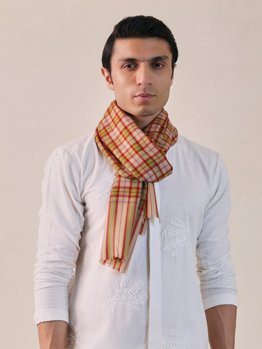 Pashmina Muffler