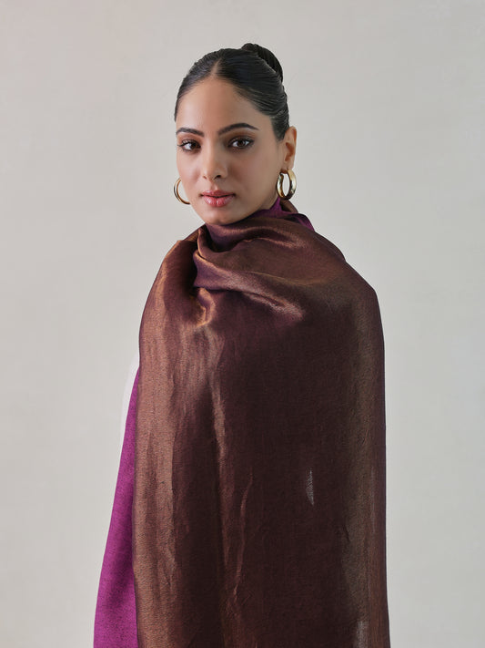 Tabbasum Wool Reversible Zari Stole