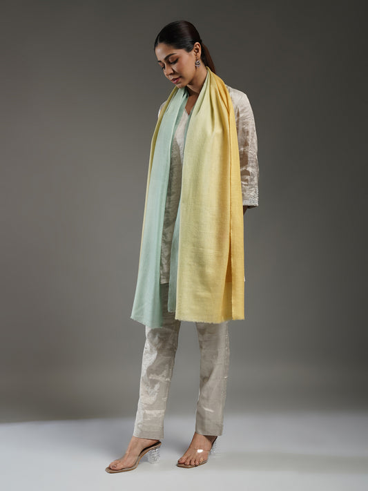 Ombre Cashmere Stole