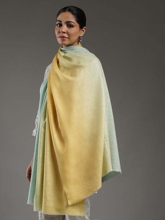 Ombre Cashmere Stole