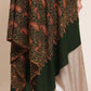 Woman wearing a green pashmina shawl