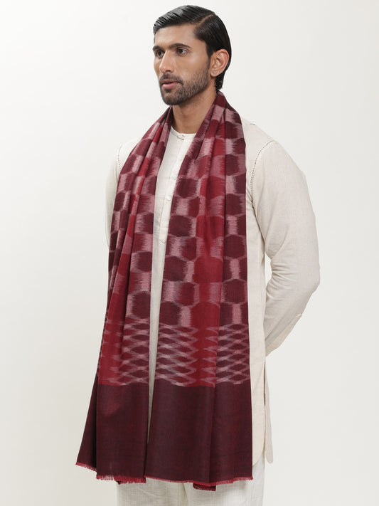 Ikat Pashmina Stole