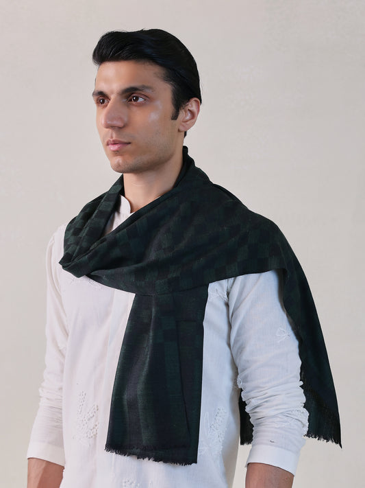 Wool Silk Pashmina Muffler