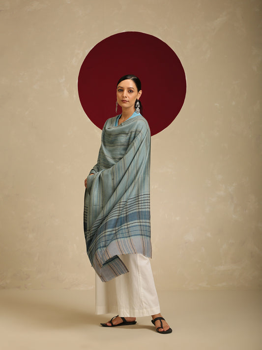 Model is wearing Pashmina check stole in ice blue and indigo.