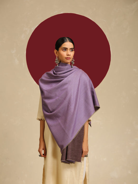 Model is wearing pashmina reversible shawl in purple with mauve at the back.