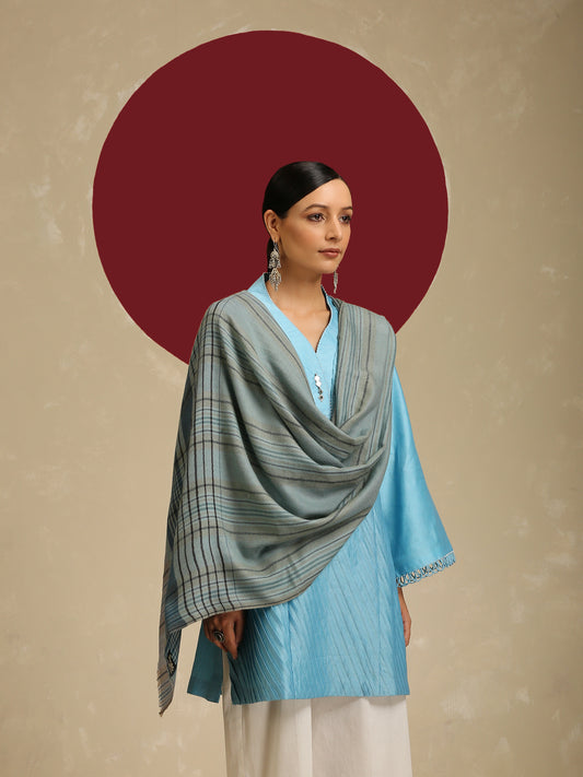 Model is wearing Pashmina check stole in ice blue and indigo.