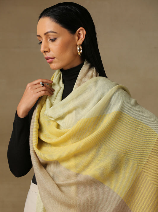 Model is wearing a Pardah stole by Shaza in lemon yellow.